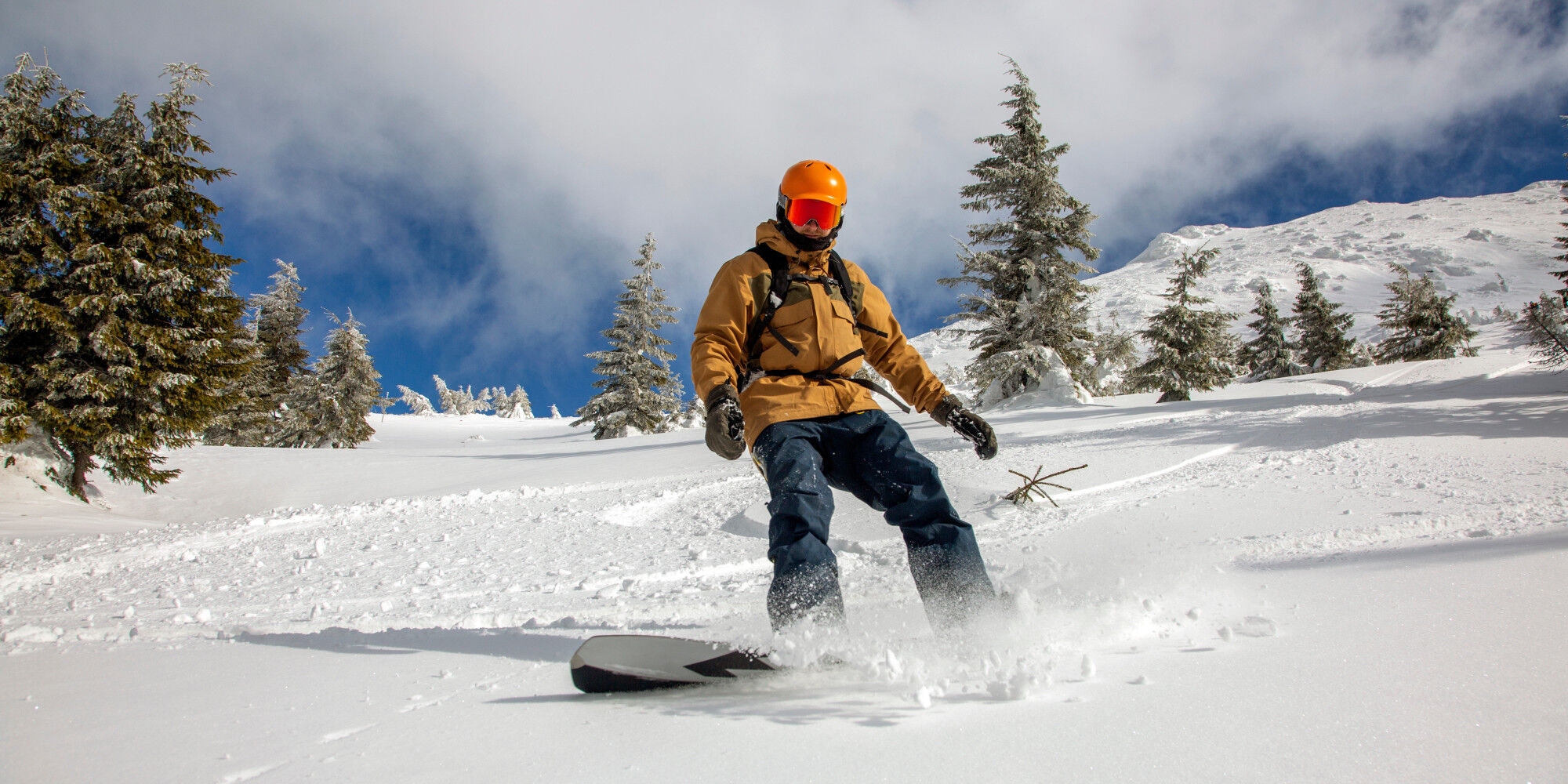 AdobeStock_555775543 (2)
				        