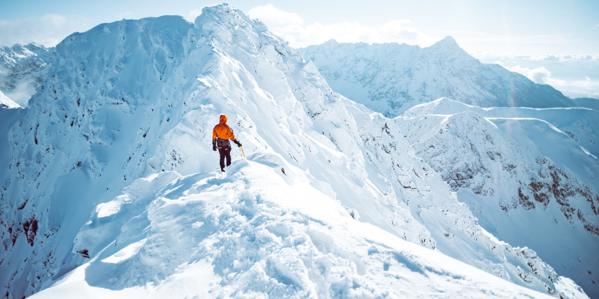 AdobeStock_250082678
				        