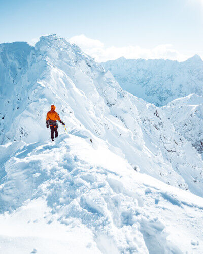 AdobeStock_250082678
			                        