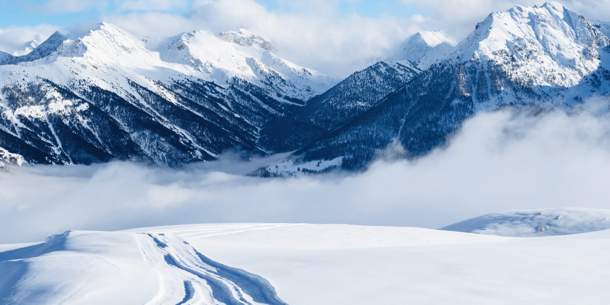 tracks in powder snow on a snow-covered mountain
				        
