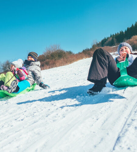 Family sledging
		                        