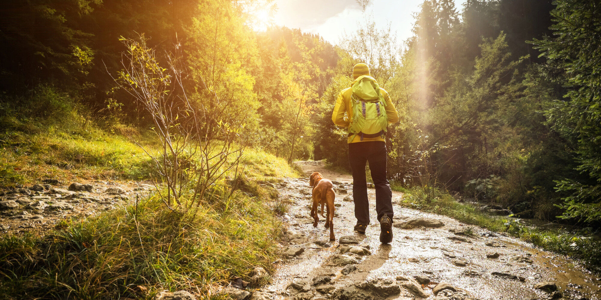 Wanderer, der mit seinem Hund und seinem Wanderrucksack eine Trekkingtour macht
				        