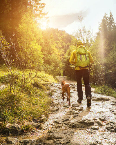 randonneur qui fait un trek avec son chien et son sac à dos de randonnée
			                        