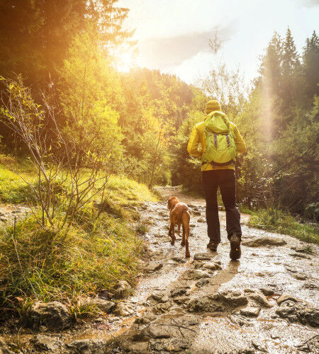 randonneur qui fait un trek avec son chien et son sac à dos de randonnée
			                        