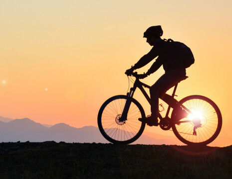Bergfahrer
					        