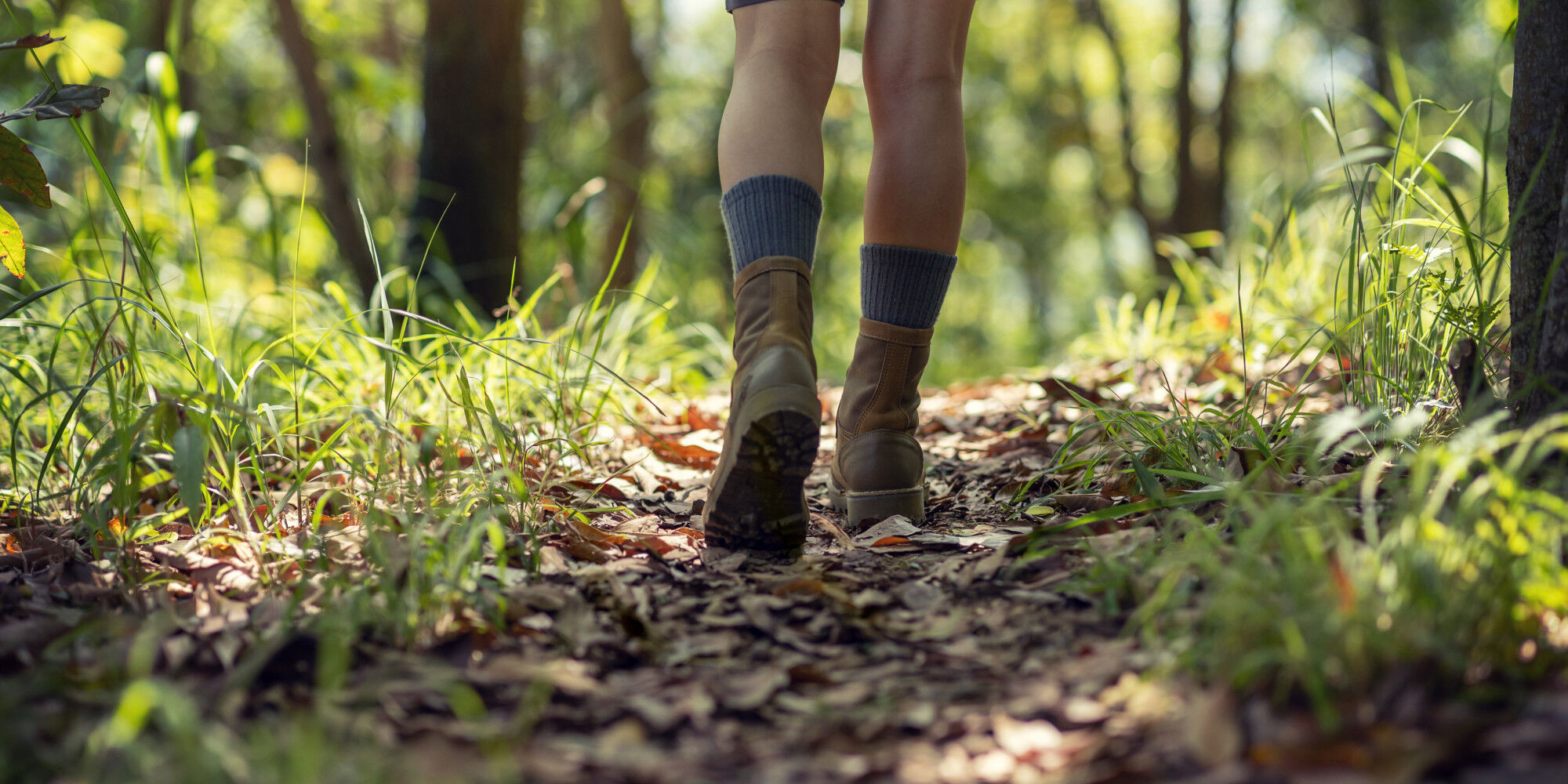 walker with hiking socks
				        