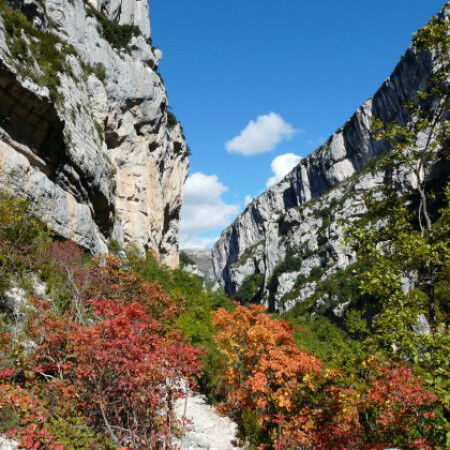 m-il sentiero-con-i-colori-d'autunno-visorando-42172