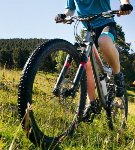 2 - Vélo
		                        