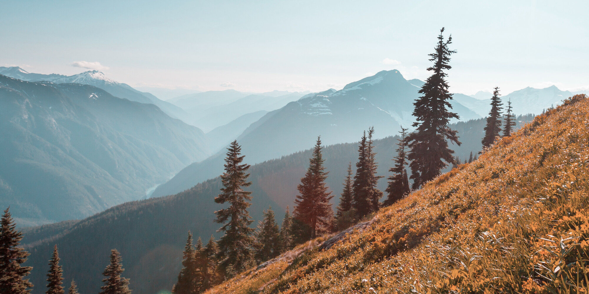 AdobeStock_433171134
				        