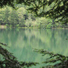 m-le-lac-du-grand-ballon-visorando-12974
			                