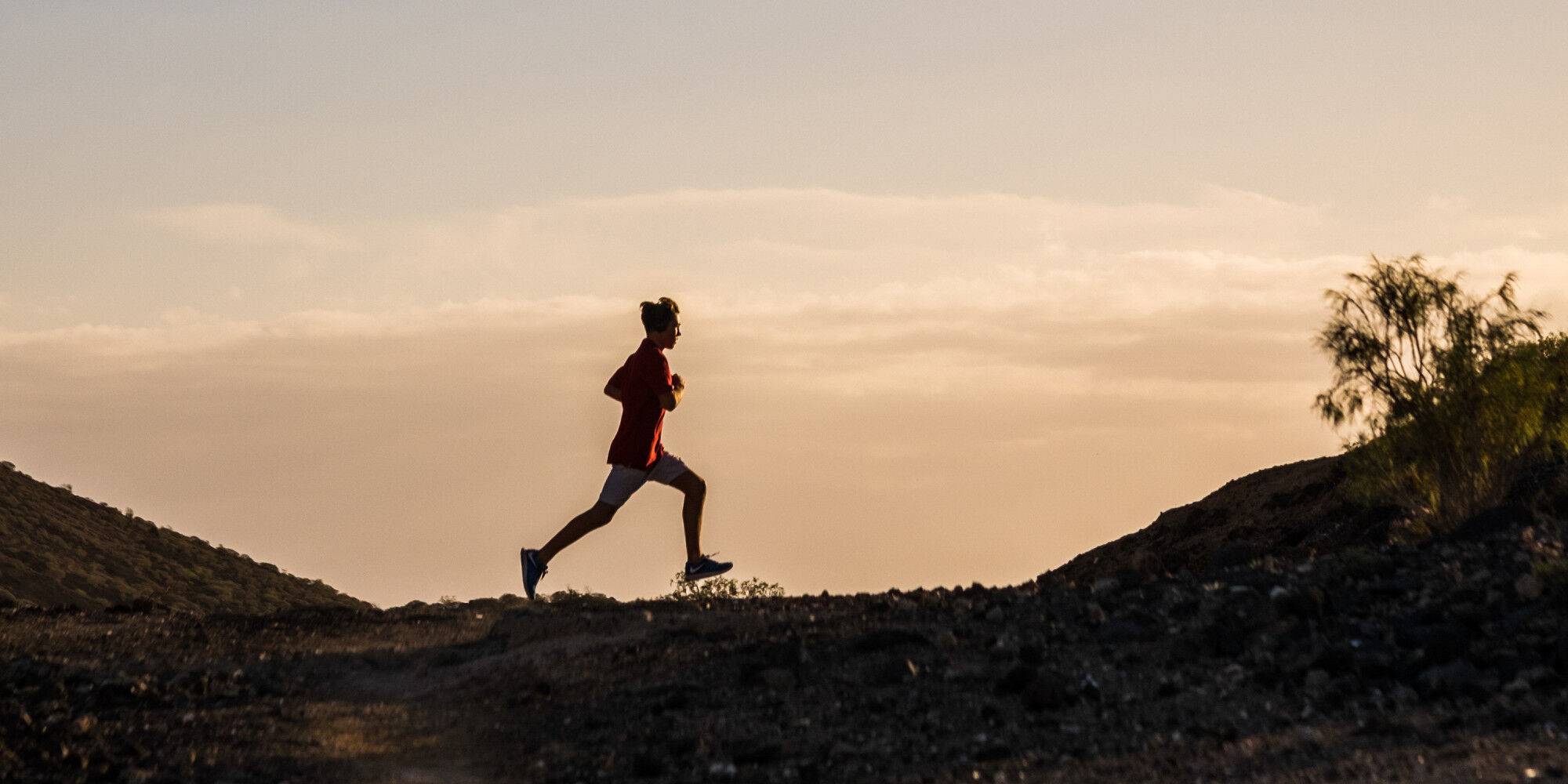 AdobeStock_382723519
				        