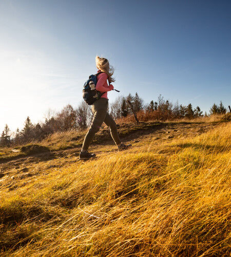 AdobeStock_301425975
			                        