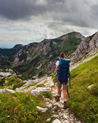 AdobeStock_331427438
			                        