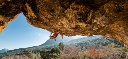 AdobeStock_565817806