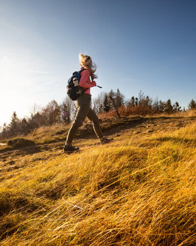 AdobeStock_301425975
				                        