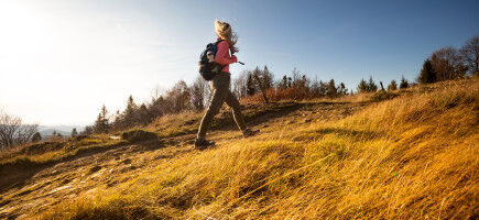 AdobeStock_301425975