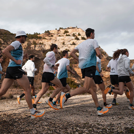 scarpa photo home 446x346
		                        