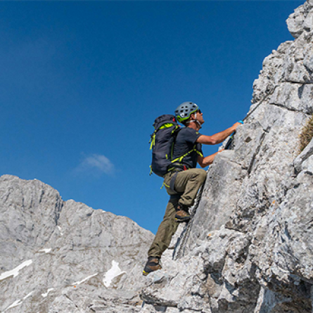 camp photo home 446x346
		                        