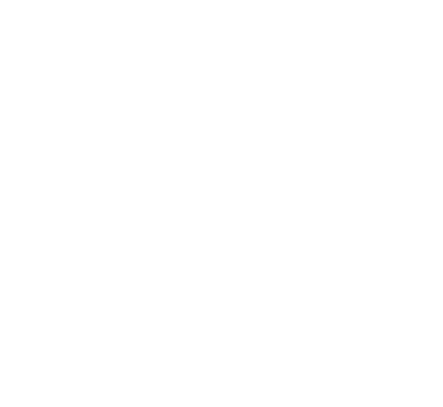 salomon logo 406x373
				                        