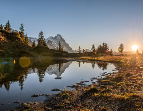 AdobeStock_1027945735
					        