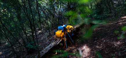 SITE_3