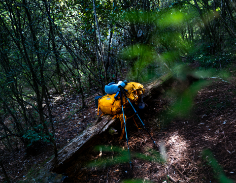 SITE_3
					        