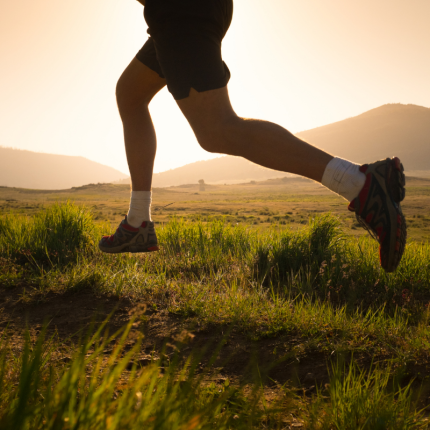 progresser-trail-running
			                    