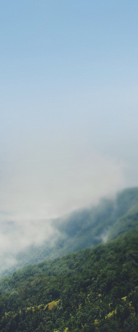 artem-bryzgalov-A11624dDiFA-unsplash
		        