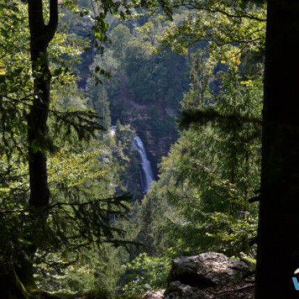 le saut du Doubs
			                    