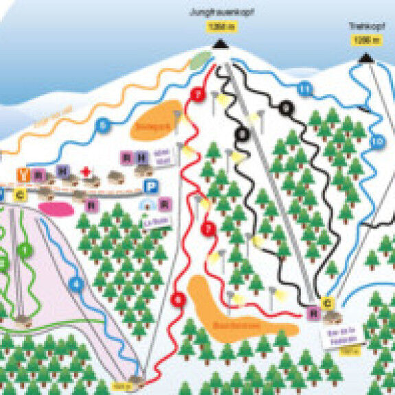 plan-curso1-300x197
			                    