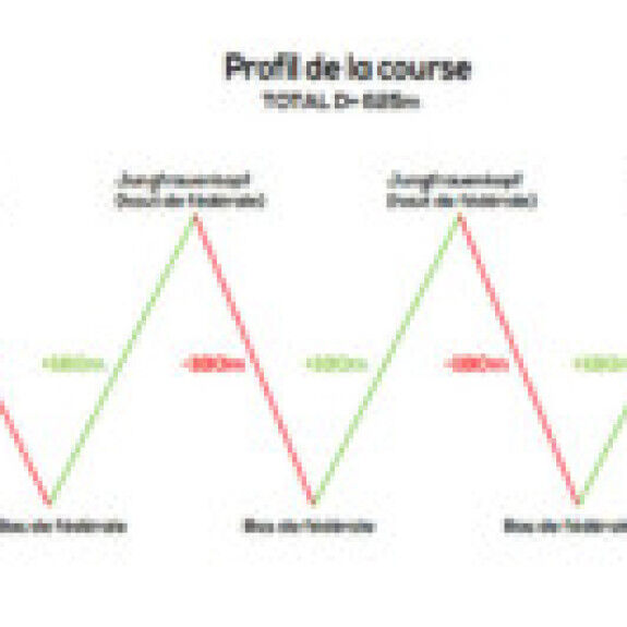 profil-course-300x133
			                    