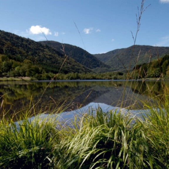 lago sewen
			                    