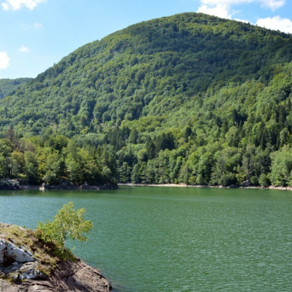 lago alfeld
			                    