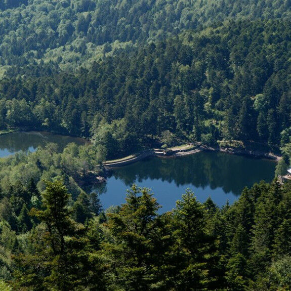 lagos de Neuweiher
			                    
