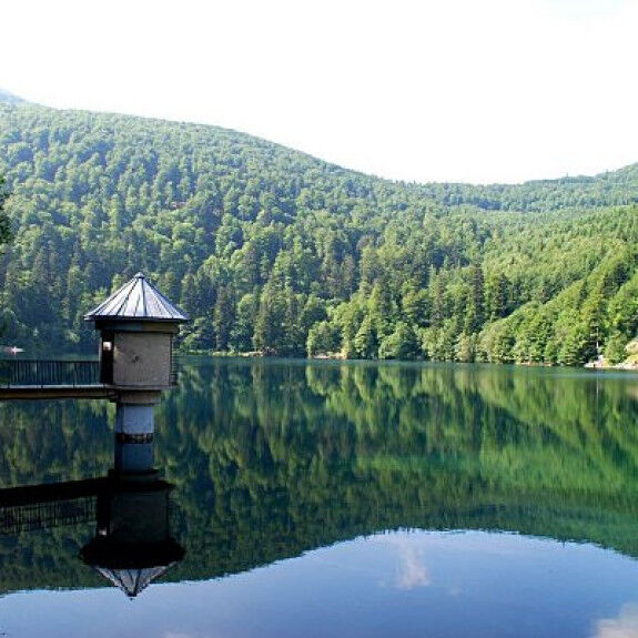 Lago de los globos
		                    