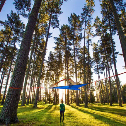 Linked_Ring_Photography_-_Flite_New_Zealand_1024x1024
			                    