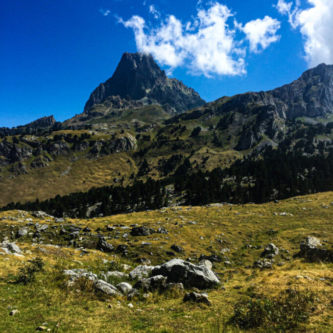 vallée d'Ossau 4
			                    