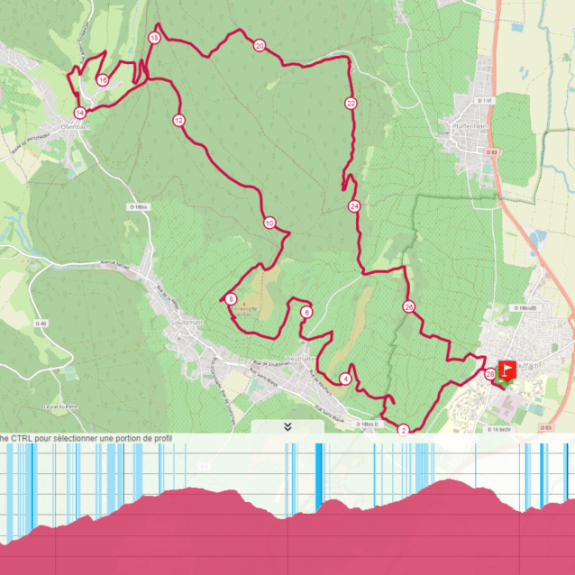 trail-des-grands-crus
		                    