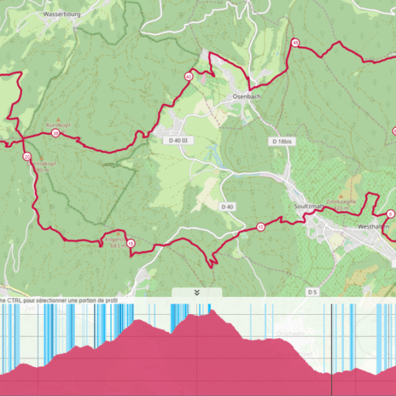 trail-petit-ballon
		                    