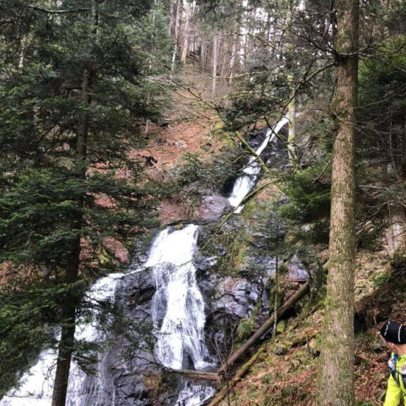 cascata
			                    