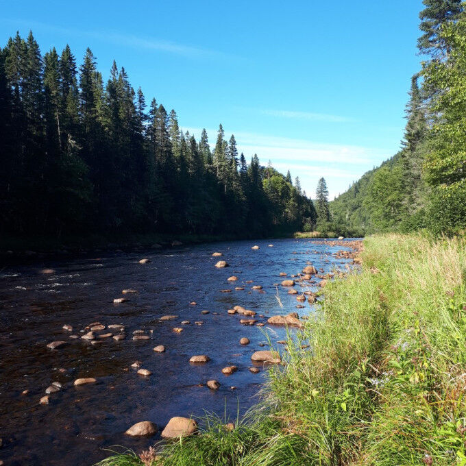 parc national de la Jacques Cartier 1
			                    
