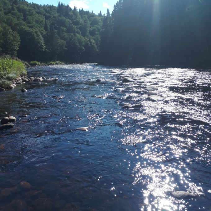 parc national de la Jacques Cartier 2
			                    