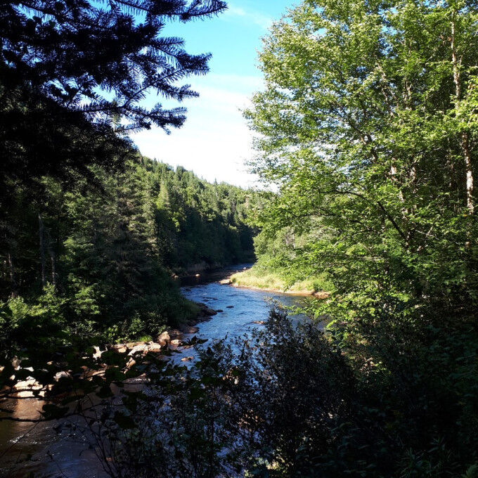 parque Nacional Jacques Cartier 3
			                    