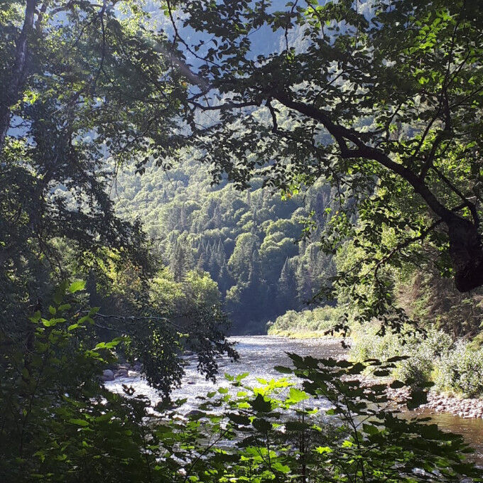 parc national de la Jacques Cartier 4
			                    