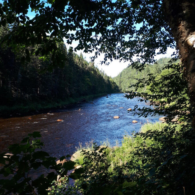 parc national de la Jacques Cartier 7
			                    