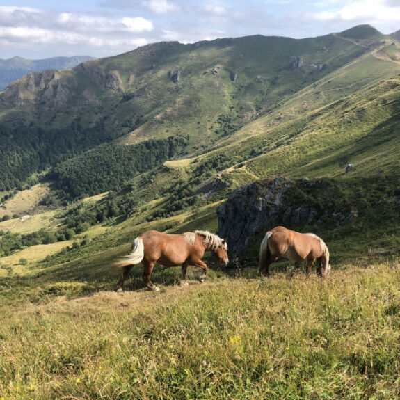 jour 5 trail canta
			                    
