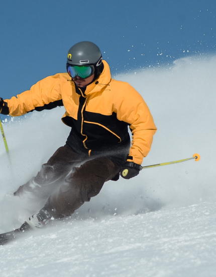 skieur
		                    