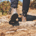 AdobeStock_334685430
			                