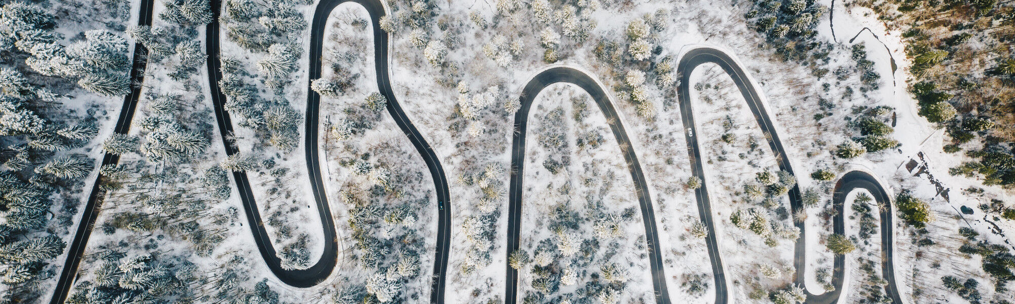 AdobeStock_245013263 (1)
			        