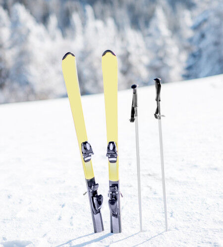 AdobeStock_193564616
			                        